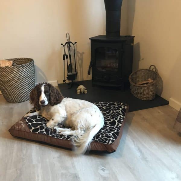 karens kottages - dog friendly self catering holiday cottage accommodation in Northumberland - Drakestone Cottage - Stanegate Cottage