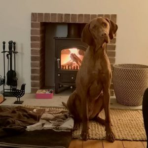 karens kottages - dog friendly self catering holiday cottage accommodation in Northumberland - Drakestone Cottage - Stanegate Cottage